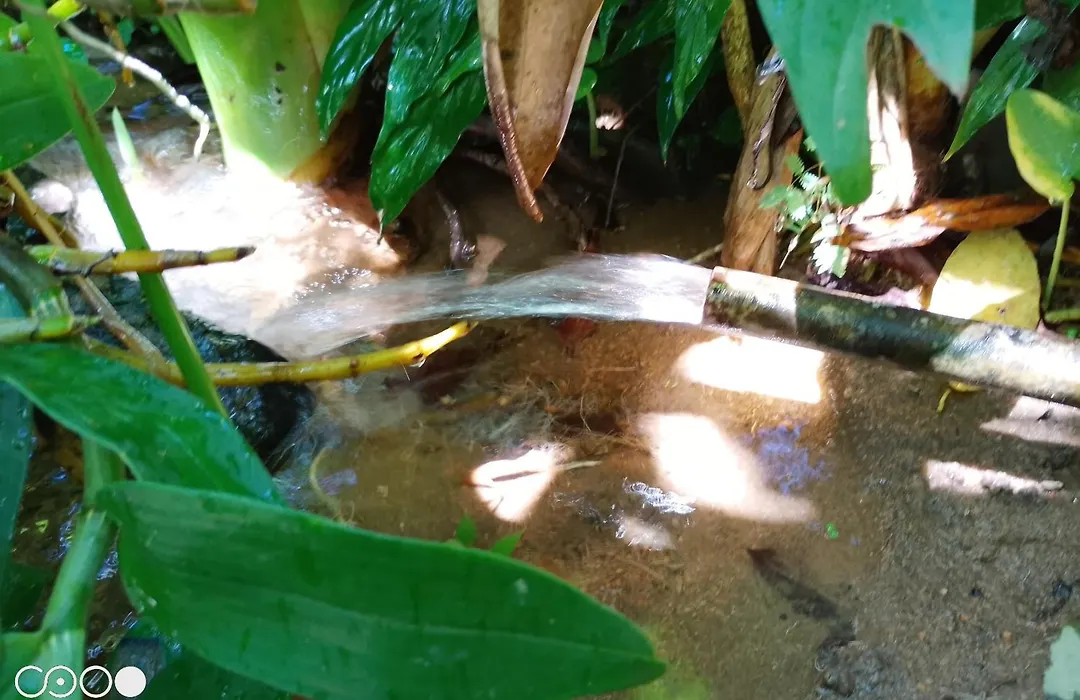 Hospedagem Acorde Em Ilha Grande Rj-1